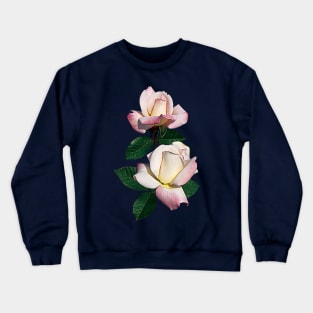 Roses - Pale Pink Rosebuds Variety Pristine Crewneck Sweatshirt